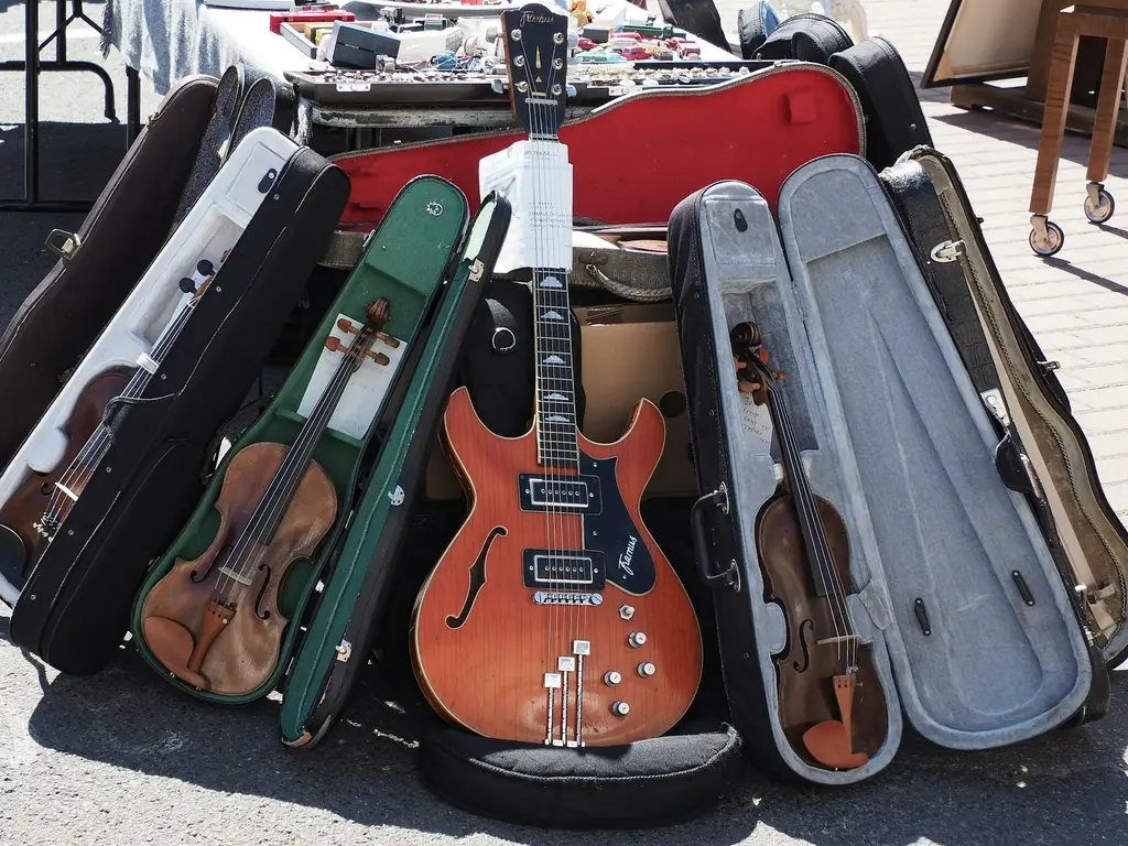 Music accessories including cases and stands for category context.