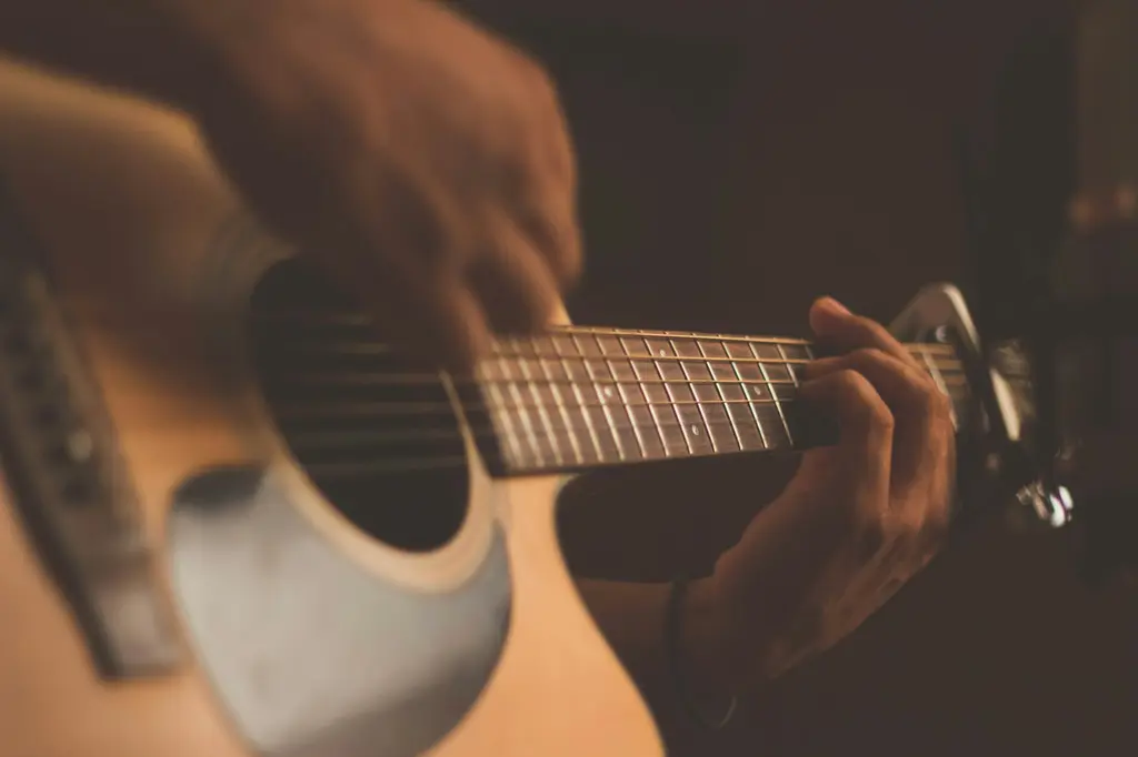 String Instruments — category context imagery.